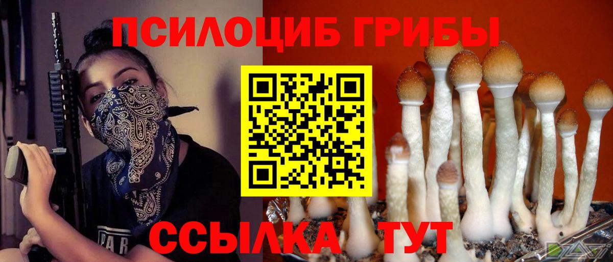 Псилоцибиновые грибы Psilocybe Феодосия
