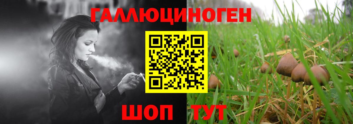 Псилоцибиновые грибы прущие грибы  Псилоцибиновые грибы мицелий  Вход с VPN  Феодосия 
